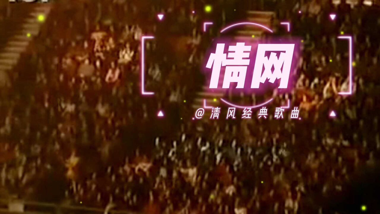 经典歌曲欣赏《情网》