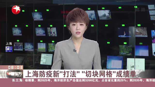 上海防疫新“打法”“切块网格”成绩单:嘉定封闭管理期延长 3000多人次支援核检采样