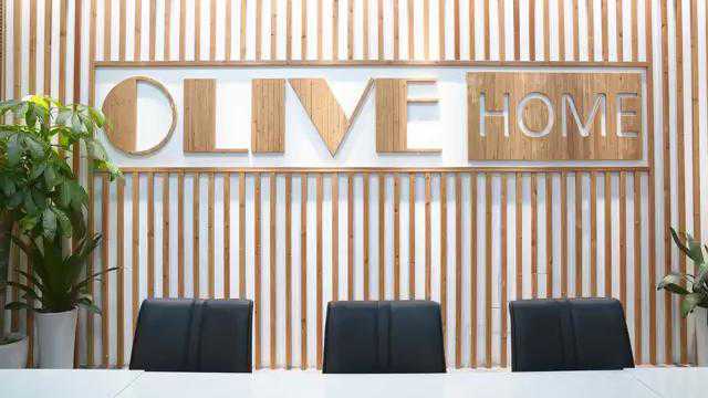 Olive home 奥盈纺织