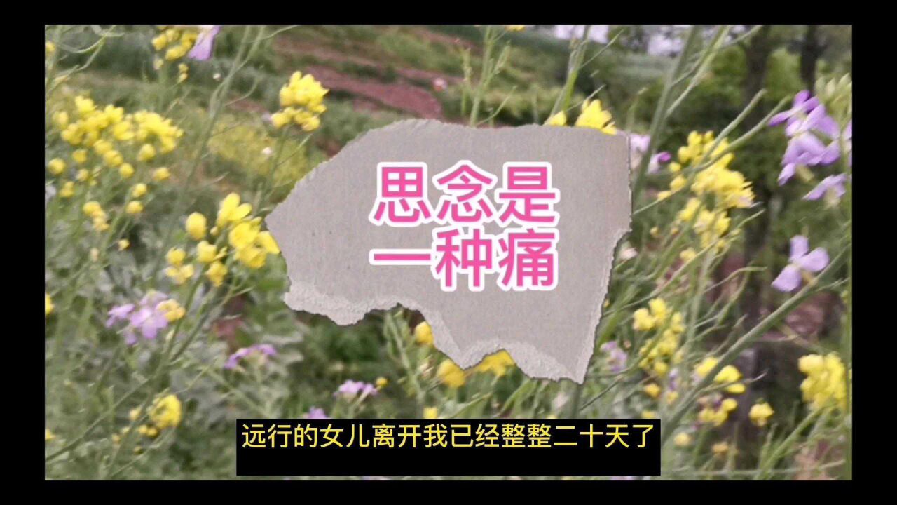 思念是一种痛