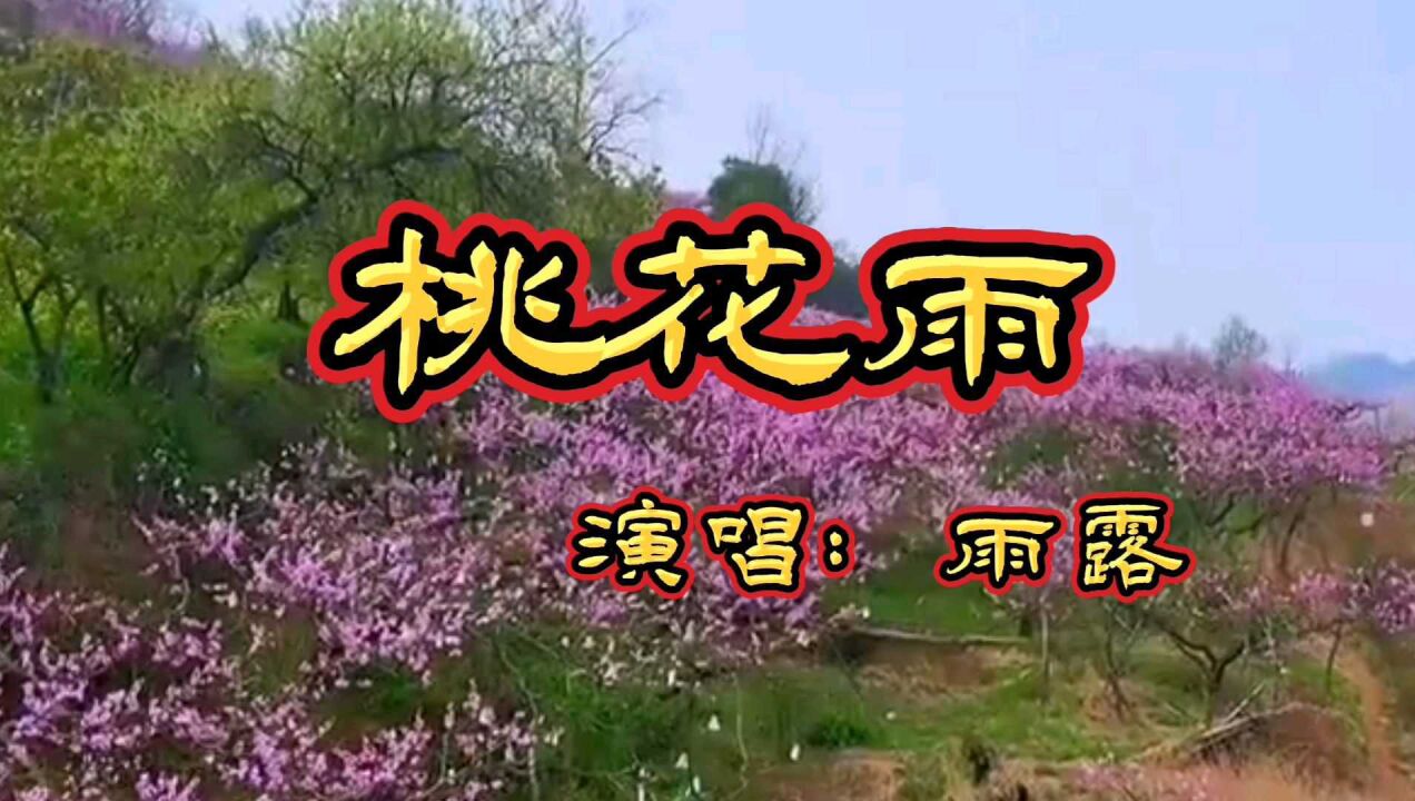 《桃花雨》演唱:雨露