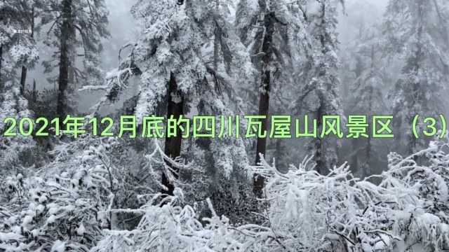 2021年12月底的四川瓦屋山风景区(3) 