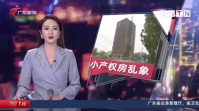 宅基地建“小产权房” 还公开对外出售?