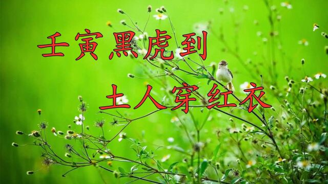 今年是虎年,老人说:“今年黑虎到,土人穿红衣”,土人指啥?