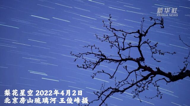 想拍出“花语星空”大片吗?这份攻略送给你