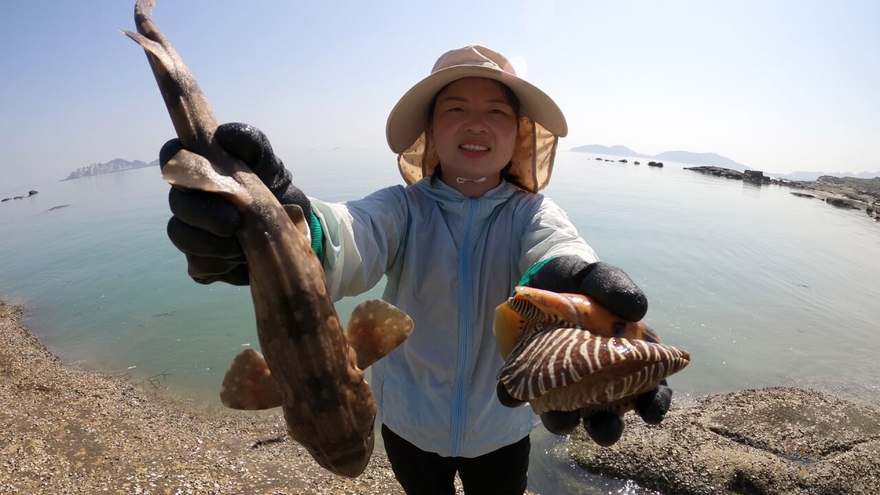 吴嫂赶海偶遇皮皮虾在繁衍后代,还被八爪鱼疯狂吐口水,太刺激了