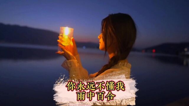 #你永远不懂我#风中百合#伤感音乐#情感音乐,沉默,是一个人对爱最苍白的表情,是一颗心对情最无力的回应;沉默的人,爱的最深,