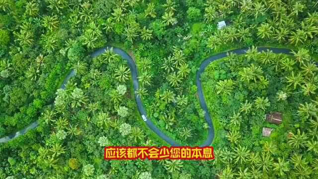 继续跟进那几家村镇银行