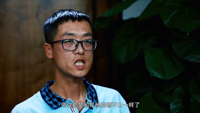 它们有着自己独特的生活习性