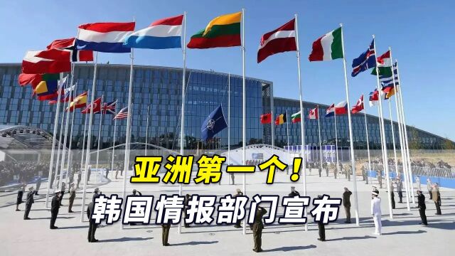 亚洲第一个!韩国情报部门宣布:正式加入北约网络防御中心