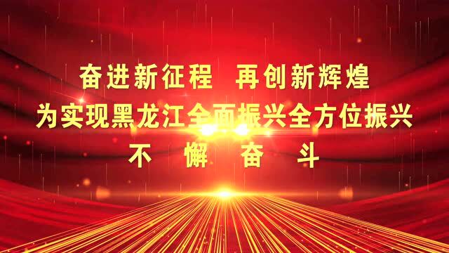 【权威发布】中国共产党黑龙江省第十三届委员会第一次全体会议举行