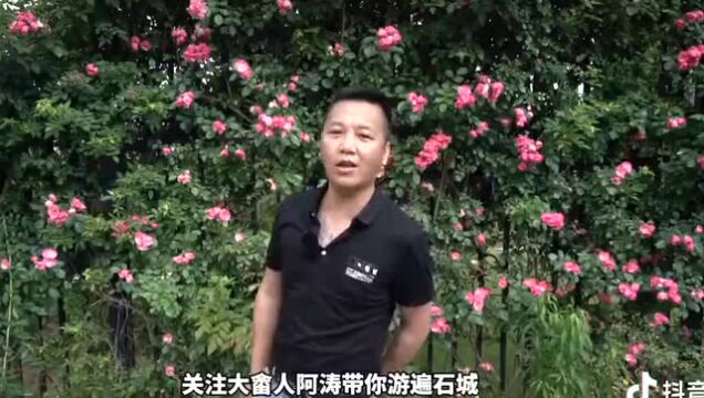 云推介 | 网红带你游石城,快来打卡吧 !