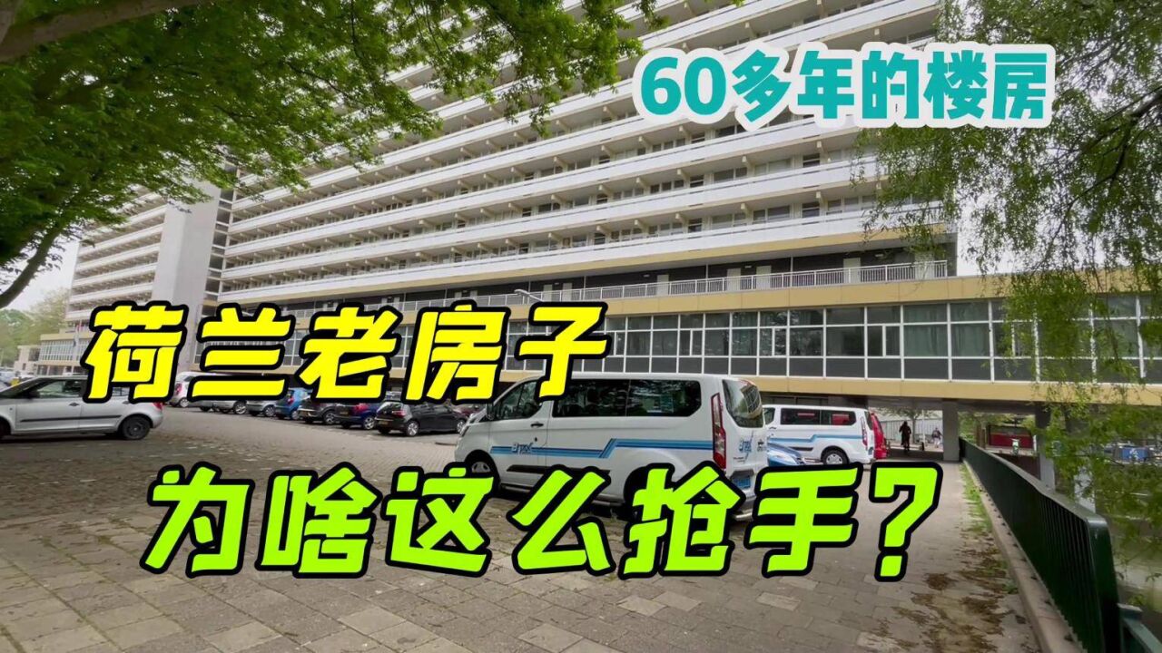 荷兰人为啥爱买老房子?60年前建造的最抢手?中国人不能理解