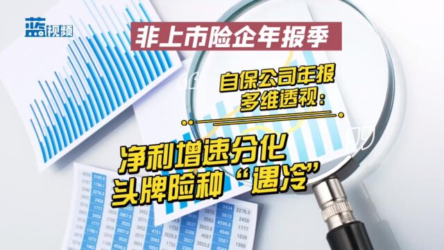 自保公司年报多维透视:净利增速分化、头牌险种“遇冷”