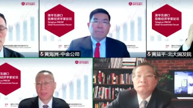 张健华:财政政策与货币政策相结合,提升宏观政策效率