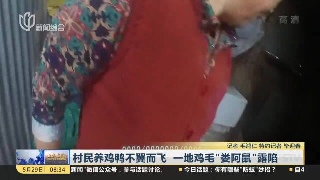 村民养鸡鸭不翼而飞 一地鸡毛“娄阿鼠”露陷