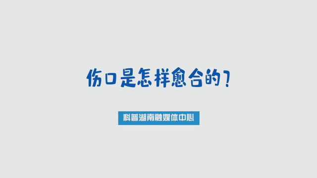 伤口是怎样愈合的?