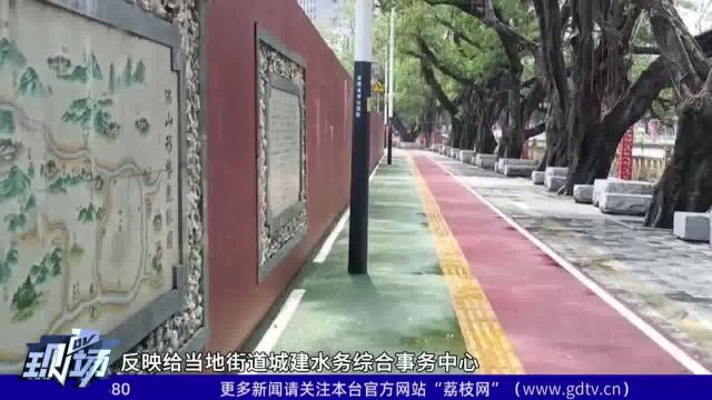 佛山:新绿道树枝电线杆阻碍通行,街坊盼望规划改善