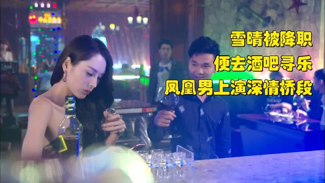 精彩推荐:雪晴被降职,便去酒吧寻乐,凤凰男上演深情桥段