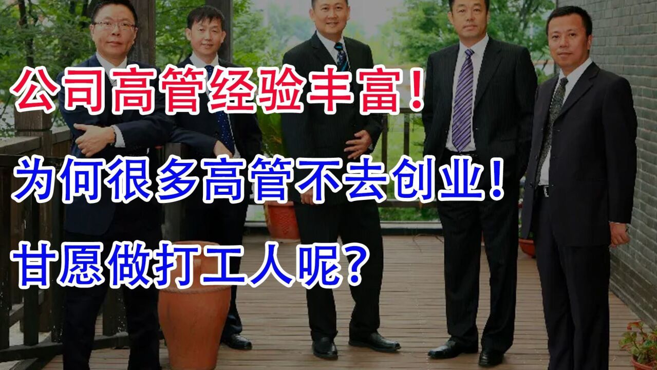 公司高管经验丰富,为何很多高管不去创业,甘愿做打工人呢?