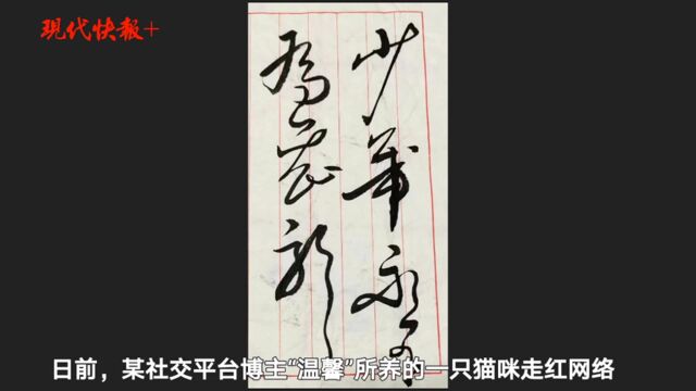 苏州大学毕业生论文致谢喵星人,教授为猫题赠言:少喵永不为恶虎