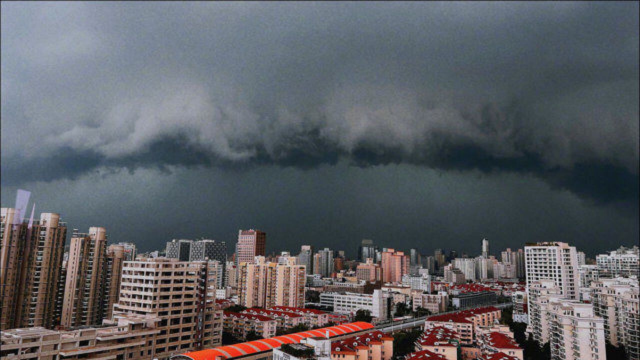 上海暴雨黑云压城白昼如夜,网友:午觉睡出了午夜的效果