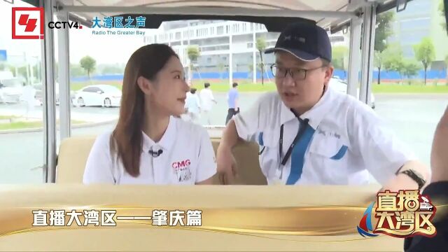 220625|直播大湾区:肇庆篇,又见光伏!