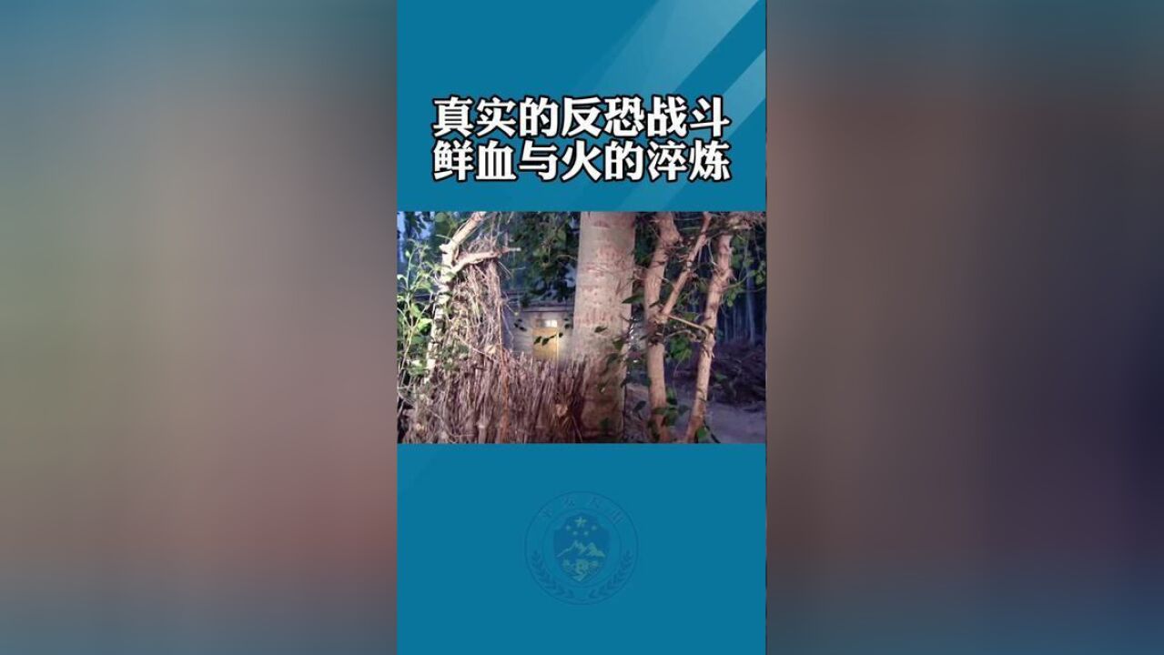 全国特级优秀人民警察张晨阳带你亲历真实的反恐战斗见证血与火的淬炼.