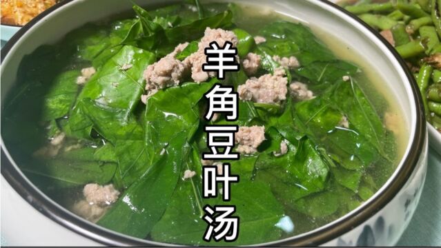 望江南|决明子叶|我们那儿叫羊角豆,叶可入汤,那是儿时的味道