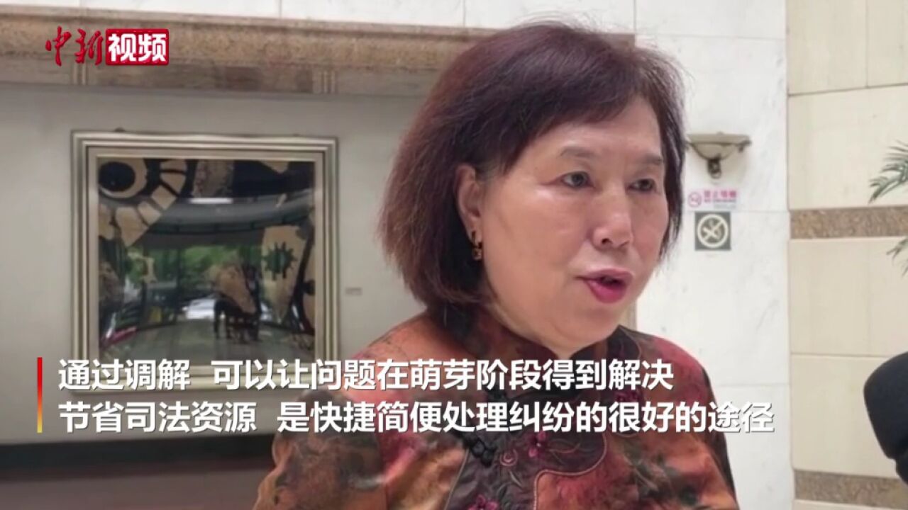 专家:网络文艺作品盗版诉讼成本高,通过调解可节省司法资源