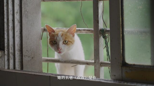 《一念逍遥》公益助学“青云计划”第一站落地四川自贡