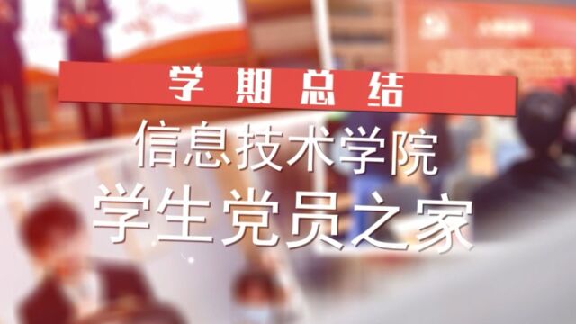 信息技术学院学生党员之家学期总结