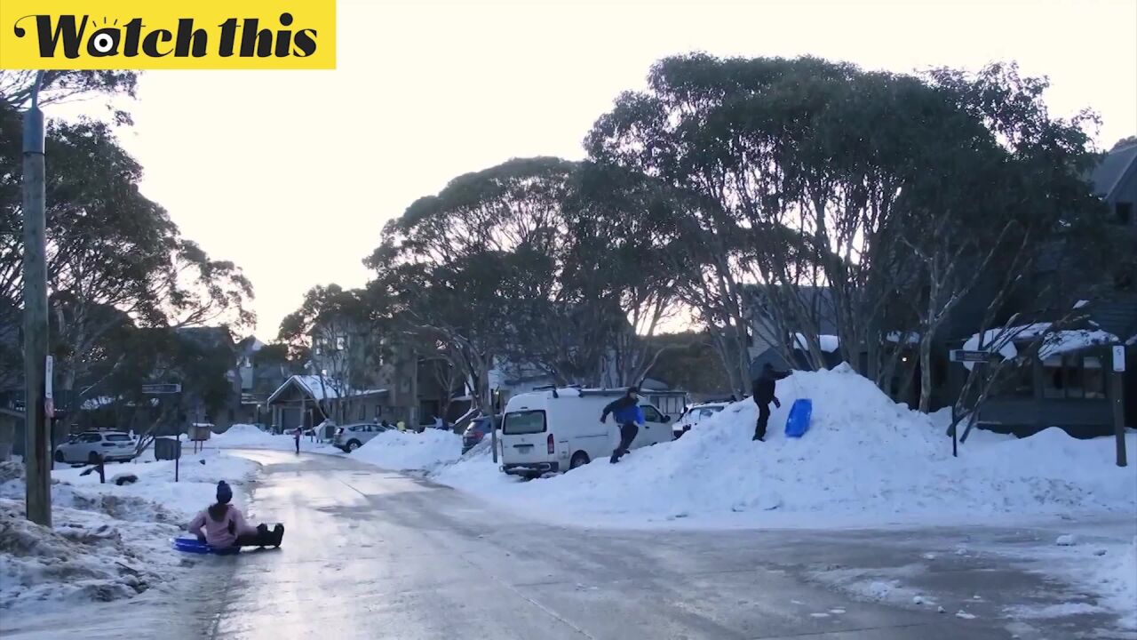 南半球的澳大利亚正在过冬 孩子们玩雪橇堆雪人好不快活