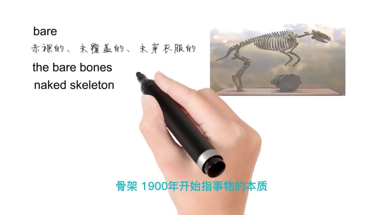 英语思维解密,为什么the bare bones指最基本部分,轻松学英语