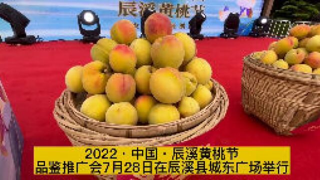 让“小黄桃”绽放“大作为”——辰溪县举办黄桃节品鉴推广会