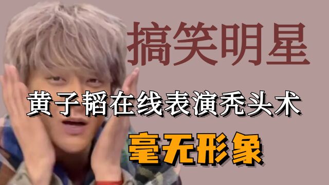 黄子韬在内娱是没有在乎的人了吗,在线表演秃头鼠惊呆众人!