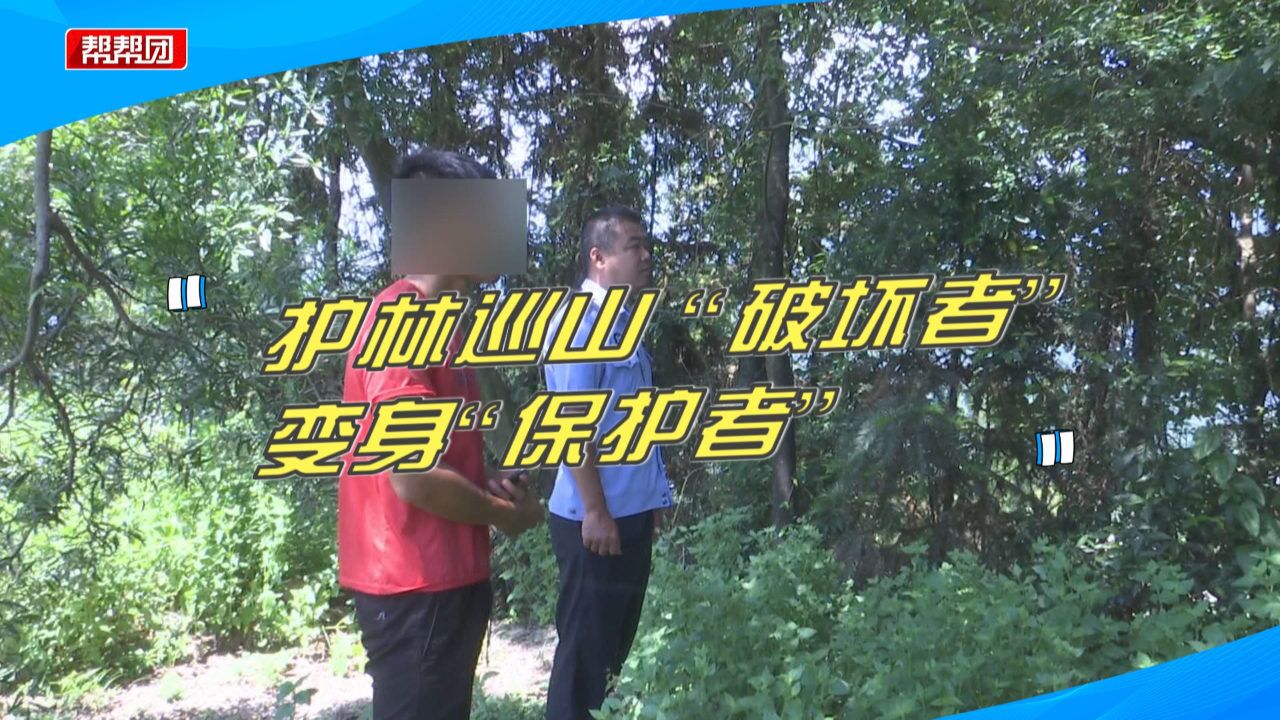 “破坏者”变“保护者”!嫌疑人参与护林巡山,劝导保护生态环境