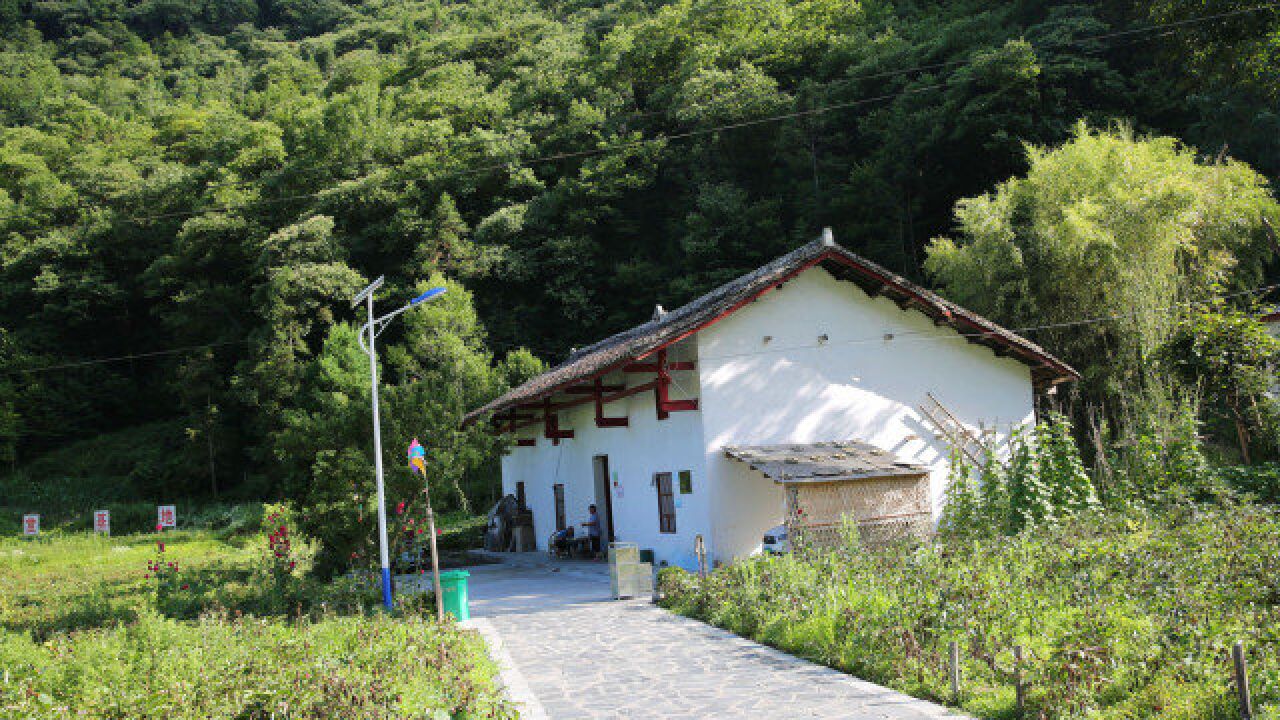 陕西大巴山里的美丽山村:山清水秀,古树成林,村民生活安逸