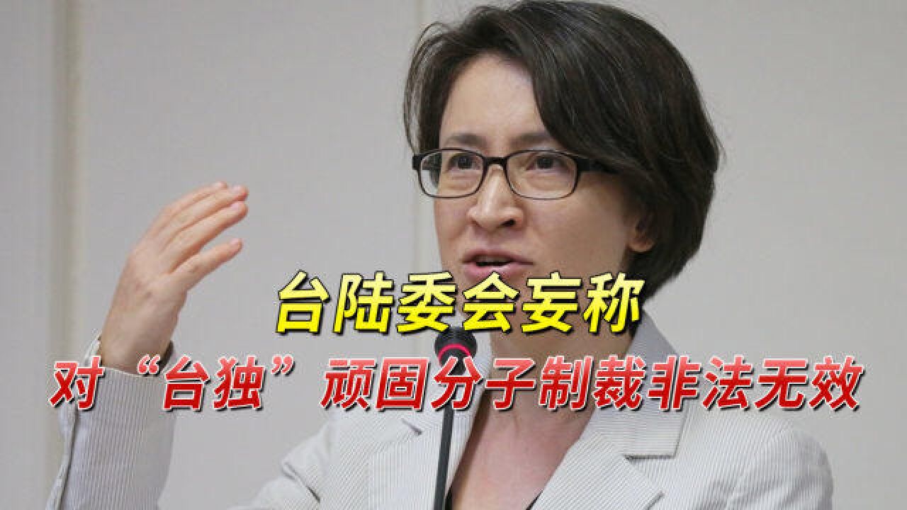 台陆委会妄称对“台独”顽固分子制裁非法无效,国台办回应