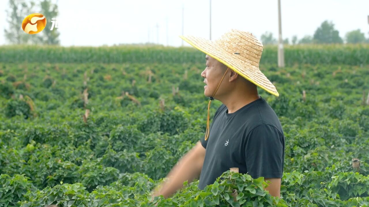 非凡十年 看出彩,出彩大家说:我们的幸福生活