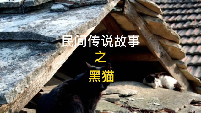 民间的那些农村传说故事之黑猫!黑猫黑猫!