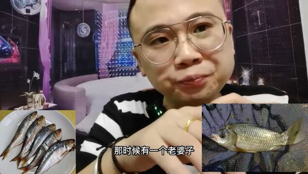 没事测评——跟鲫鱼特别像的怪鱼青鳞鱼,真的好吃吗