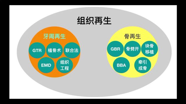 仕诺康线上直播课:GTR vs GBR——引导再生中的是与非(二)片段(1)