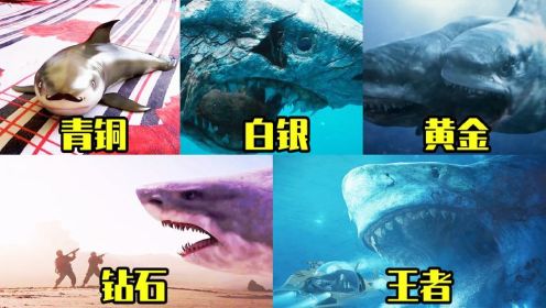 盘点电影中的变异鲨鱼，你觉得哪个最恐怖？青铜是只萌宠鲨