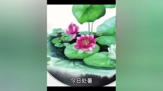 处暑:浅秋已至,念念秋安!