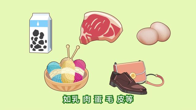 【三农词条】饲料——小块头的大能量