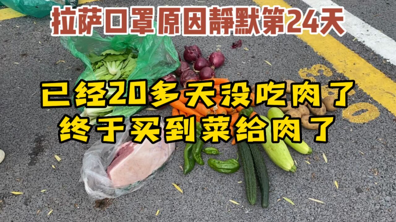 拉萨口罩原因静默第24天,20多天没有吃到肉了,今天终于买到菜和肉了