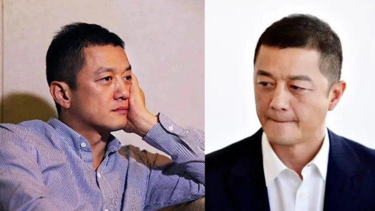 李亚鹏公司等被执行4.5亿,半夜看电影称想哭:哭不出,不想呐喊