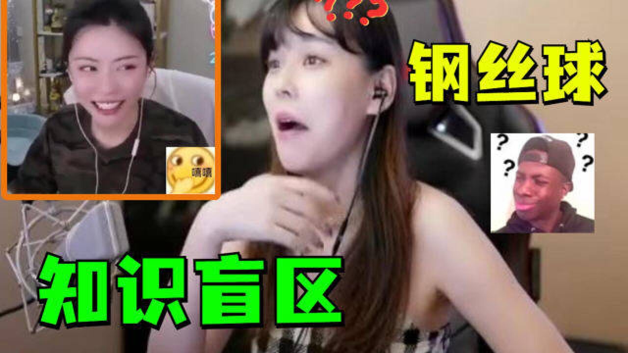 终于有沫子不懂的了,周淑怡:富婆快乐钢丝球你不知道?