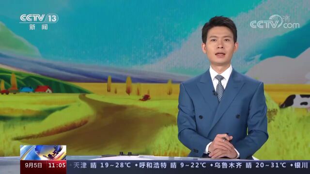 金黄蜜柚飘香 容县果农增收有“金果”